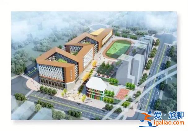 徐悲鸿中学升学率(徐悲鸿中学怎么样)？