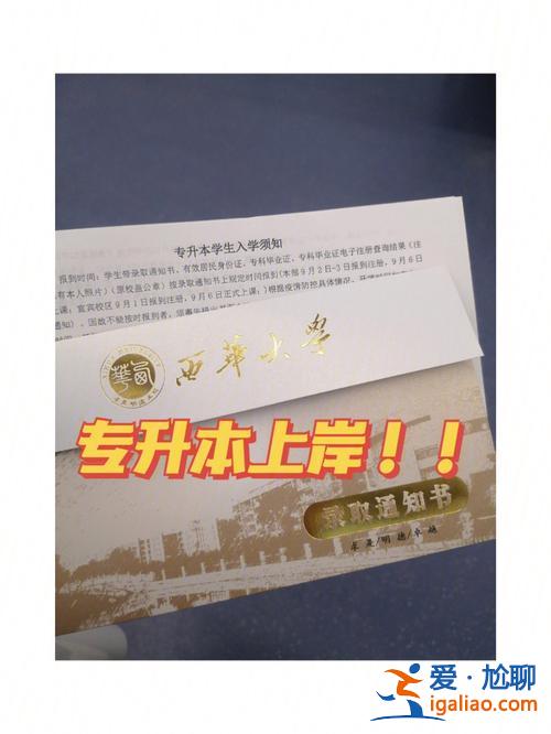专升本公章(专升本需要盖什么章)？