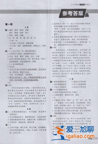 小学语文升学试卷答案，语文阅读为什么要规定标准答案？