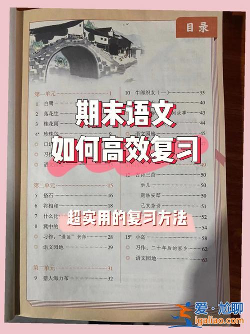小学语文毕业升学总复习 期末考试将近，小学语文有哪些考点，应该如何高效复习？