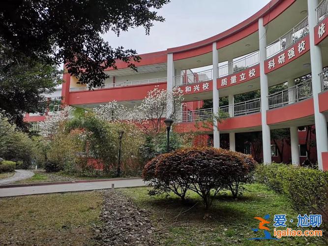 南开为民学校初中升学率，青白江南开为明学校怎么样？