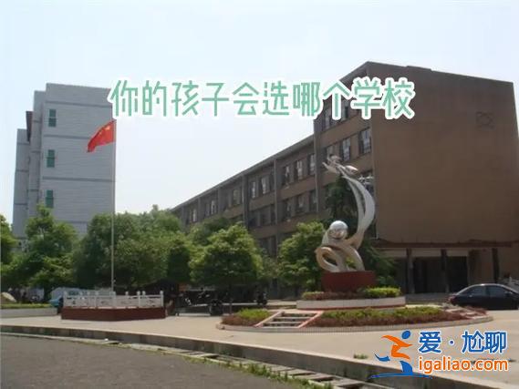 耒阳杜甫学校高中升学率，耒阳杜甫中学初中升学考试曾若柔成绩单？