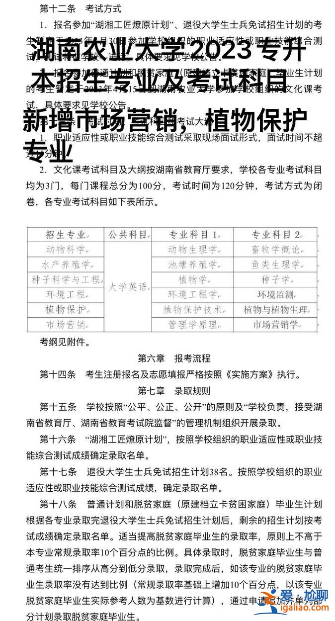 湖南专升本农大？湖南农大专升本2024年招生简章？