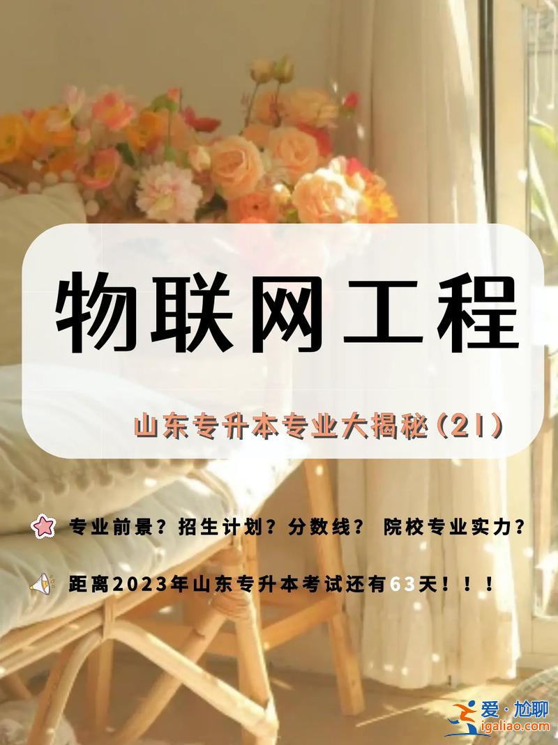 物联网专升本(物联网专升本没考上还可以读哪些学校)？