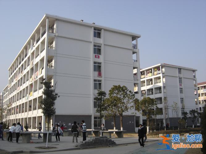 合肥金陵中学高考升学率 金陵中学有哪几种班型？