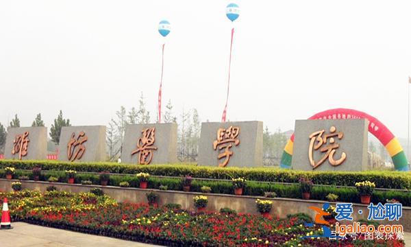 潍坊医学院专升本专业 山东升格本科的医学院？