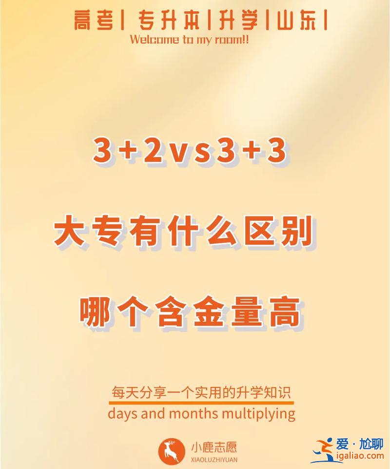 专升本和3加2的区别 3+2和专升本的区别？