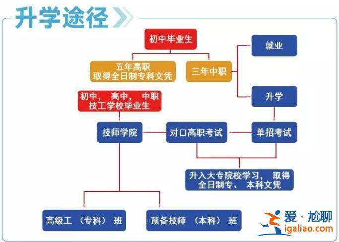 专科生升学路径怎么写？不同分数段适合的升学路径有哪些？