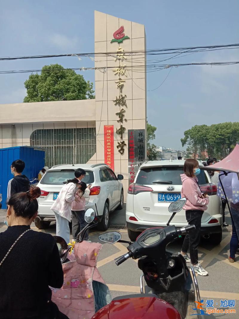 海口城东中学高考升学率？海口大样村小孩在哪上学？