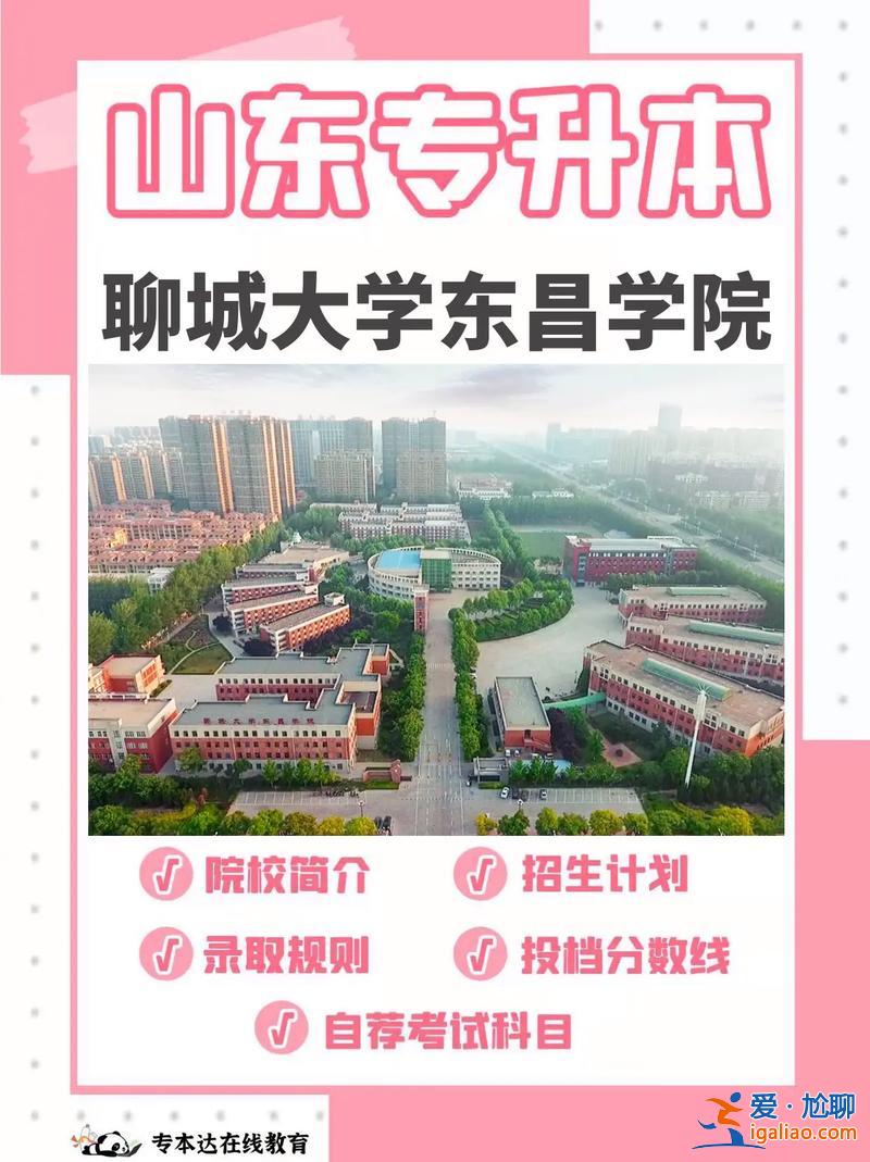 聊大专升本(聊城大学成考专升本好录取吗)？