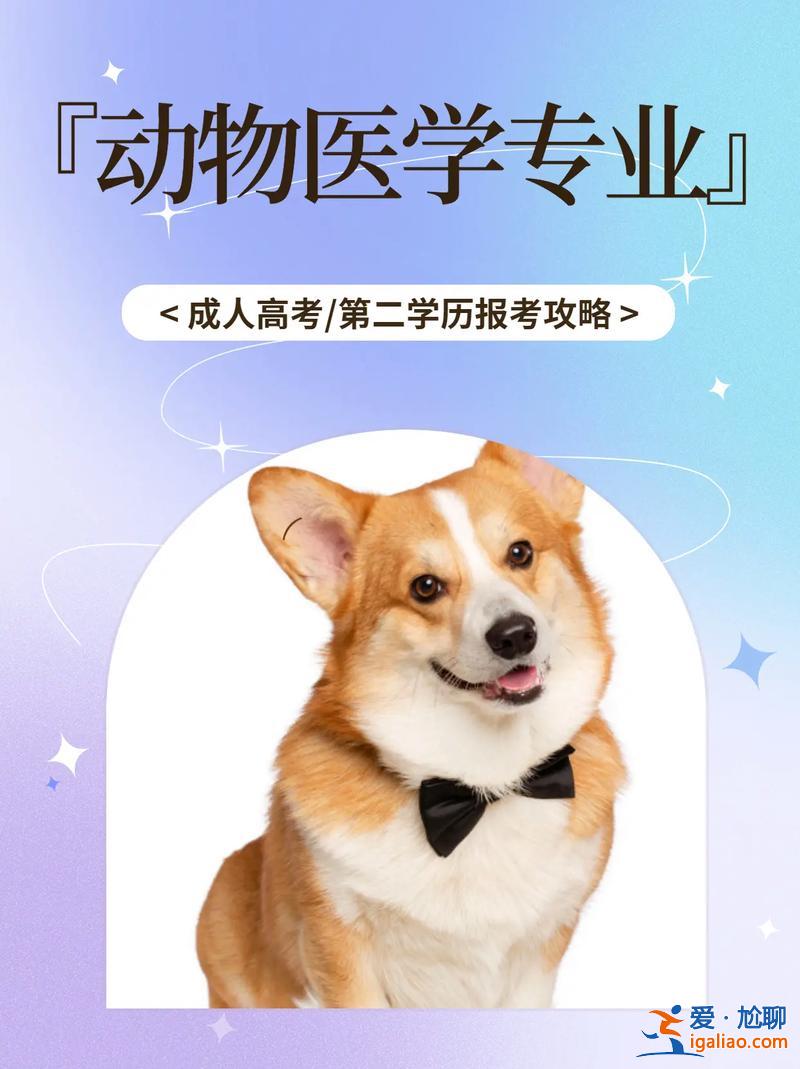 兽医专升本？兽医专科生有必要升本吗？