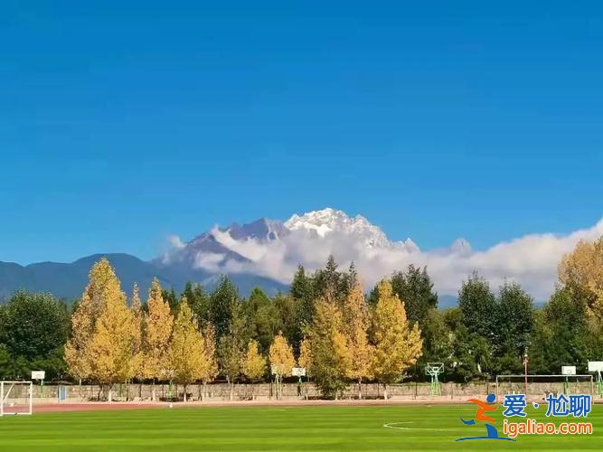 丽江提升学历毕业待遇如何 丽江文化旅游学院的学历被认可吗？
