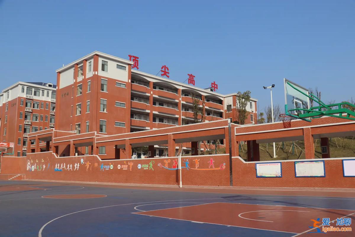 长郡金海中学升学率？金海高中的升学率怎么样？