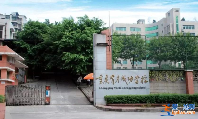 重庆杨家坪提升学历的机构(重庆育才成功学校九龙园校区怎样)？