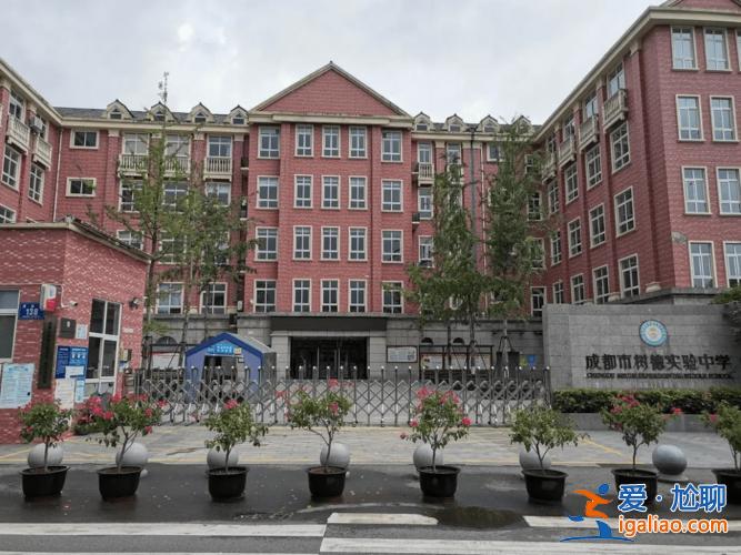 树德东马棚校区升学率？树德实验东马棚怎么样？