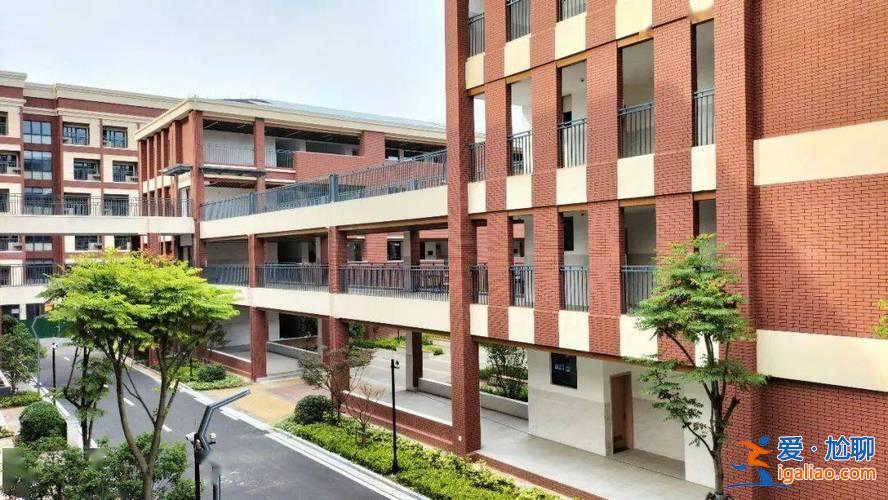 衢江区第一初中升学率，衢江区实验初中和衢江区第一初中哪个好？